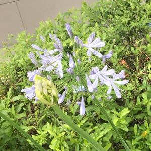 Meet your Posher, Maribel